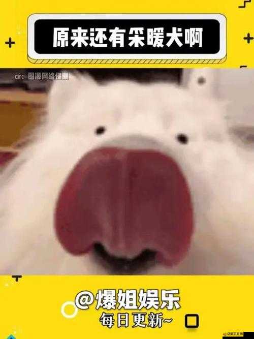 17 吃瓜：探尋最新鮮有趣的娛樂八卦和社會趣聞