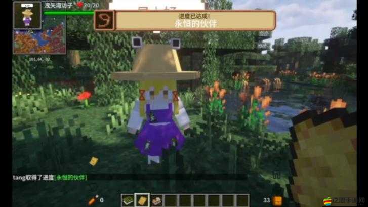 我的世界奇妙探索之旅，深入揭秘Seed代碼隱藏的無限寶藏與奧秘