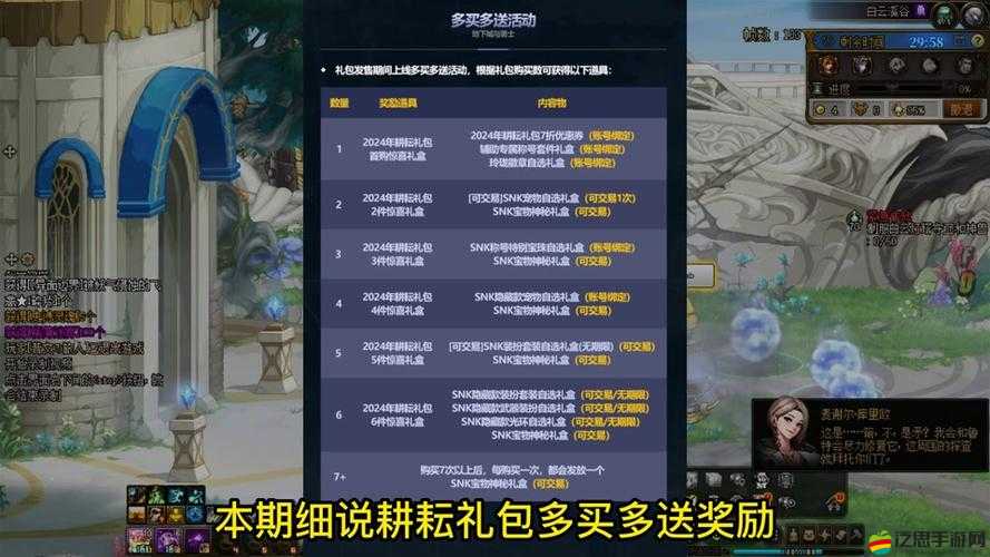 DNF酷夏迷你寵物禮盒深度剖析，價格定位與內容詳情全面解讀