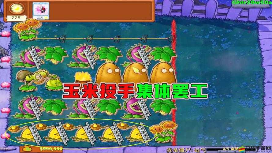 植物大戰僵尸花園戰爭突然罷工？掌握這些妙招助你輕松應對！