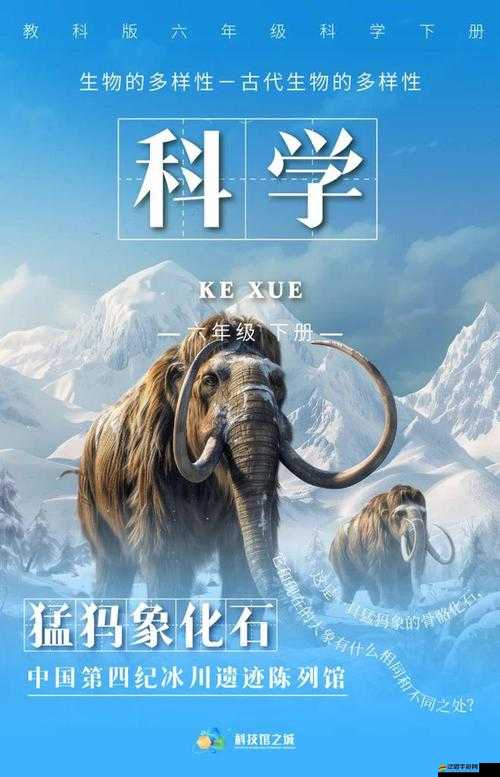 人與畜禽 CORPORATION 豬：探索奇妙的生物世界