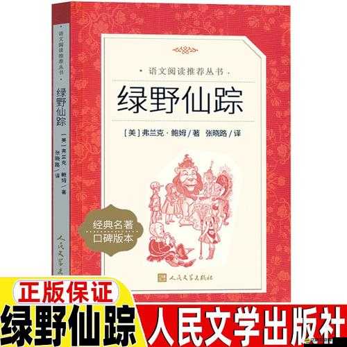 森林游戲界面全面深度解析，中文翻譯指南，助你輕松暢游神秘綠野世界
