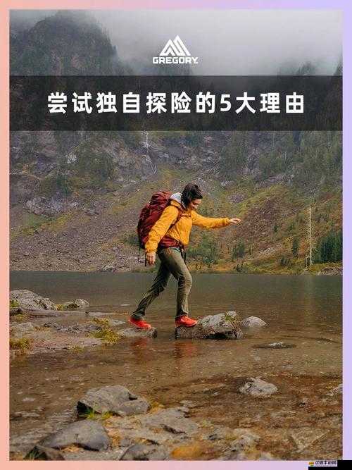 激戰2閃螢沼澤深度探險指南，揭秘高效路線與策略走法