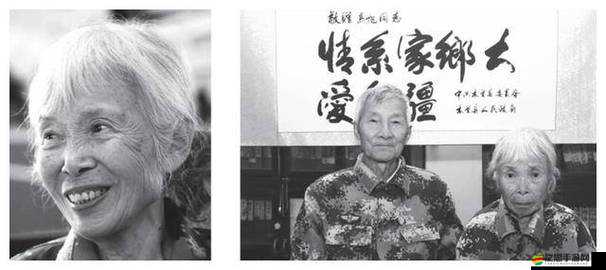 東北老太老頭國產相關內容的完整性呈現