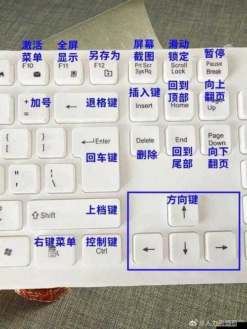 敵軍前線PC版全面解析，鍵盤按鍵操作方法指南，助你輕松馳騁戰(zhàn)場