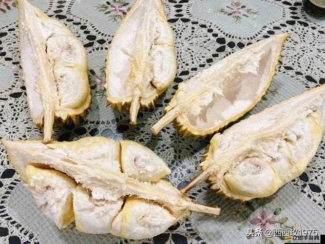 草莓榴蓮絲瓜綠巨人秋帶來作品非常豐富之創意展現