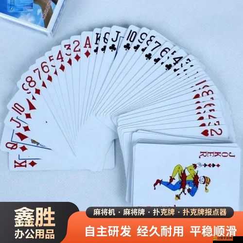 在車內打撲克：獨特場景中的休閑娛樂活動體驗