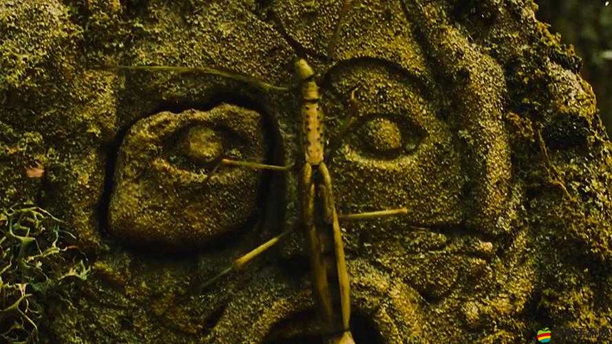 范海辛的驚奇之旅2，深入探索，揭秘河中隱藏的神秘奇異之石