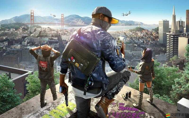 看門狗單人入侵模式無法連接問題的高效解決策略與步驟