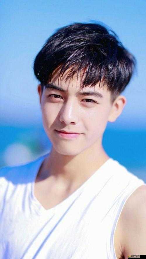 國(guó)產(chǎn) 99 久久九九精品小鮮肉之獨(dú)特魅力呈現(xiàn)