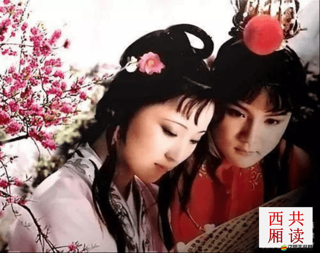 寶玉與王熙鳳和平兒的奇妙交集