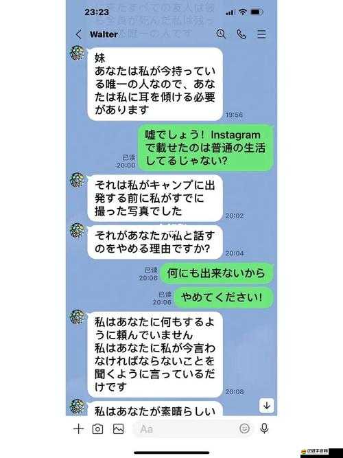 叔叔的傳說游戲無法打開問題，一段尋找解決方案的探索與修復旅程