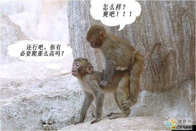 男女秘？無遮擋拔蘿卜視頻：探索禁忌之愛