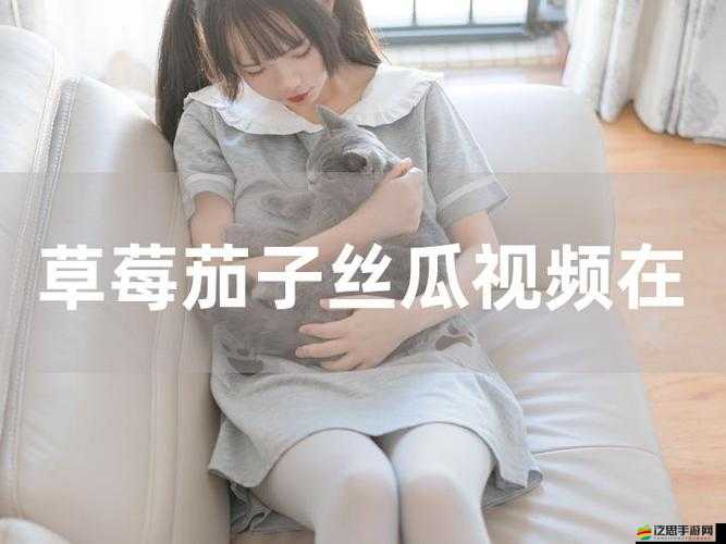 高清免費：草莓視頻在線觀看 18——無廣告、無病毒，暢享精彩視頻