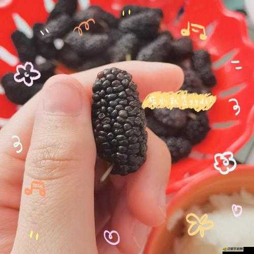 茄子香蕉榴蓮草莓絲瓜向日葵免費版：營養豐富的蔬果組合