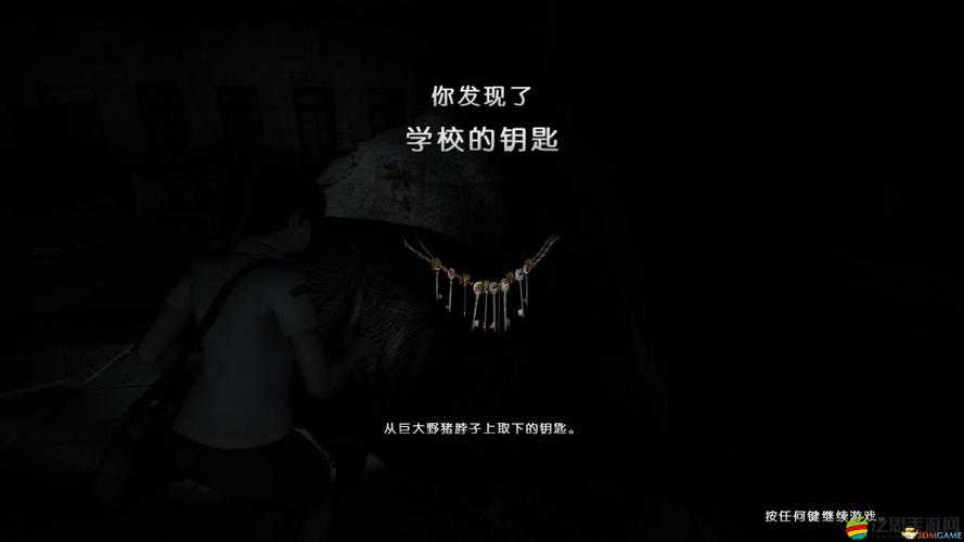 揭秘小鎮驚魂，揭秘如何巧妙智取豬身上隱藏的神秘鑰匙