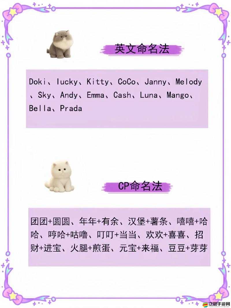 貓咪 www 最新地域網(wǎng)名怎么取的獨(dú)特取名思路探討