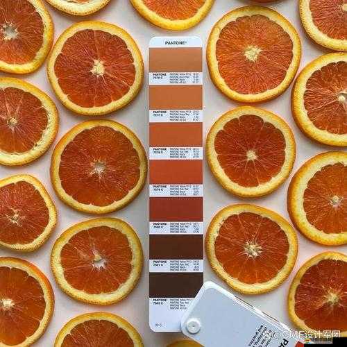 pp 色母在色彩世界中的獨特魅力與應用價值探討