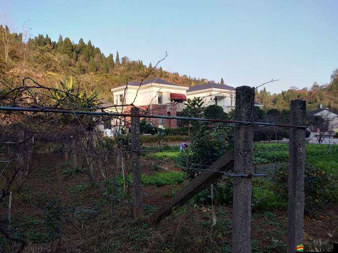 全民小鎮游戲中如何出售建筑與果樹及關鍵注意事項詳解