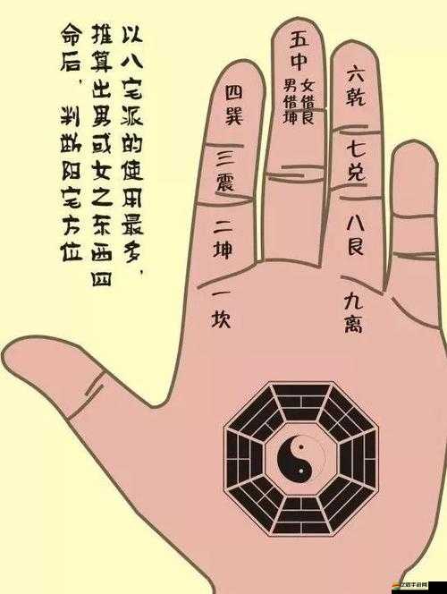 指掌江湖游戲攻略，有效提升弟子連擊率的策略與技巧解析