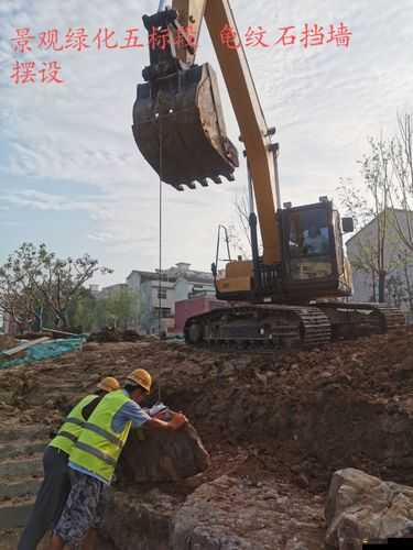 全民小鎮綠化度提升攻略，全面解析綠化度系統及其提升方法