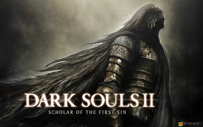 黑暗之魂2PC版深度攻略，揭秘高效刷魂圣地，助你快速提升實(shí)力