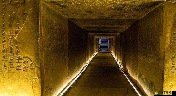 秘密入口：探索未知世界背后隱藏的神秘通道與奇跡