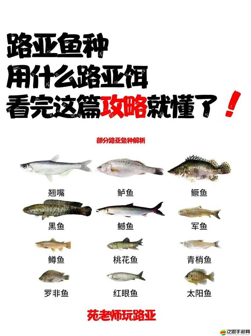 釣魚發燒友必備，詳盡魚類圖鑒大全，滿足收集控的終極追求