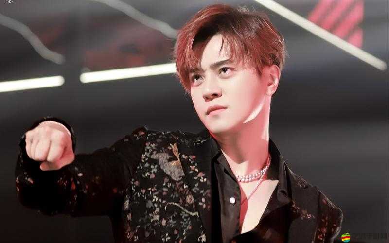 羅志祥 5G 天天奭多人觀后感：一場引發深思的娛樂現象探討