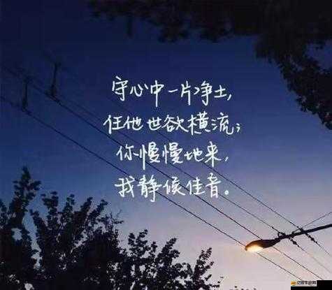 適合男人深夜孤獨寂寞的句子重新開放：慰藉心靈的溫暖港灣