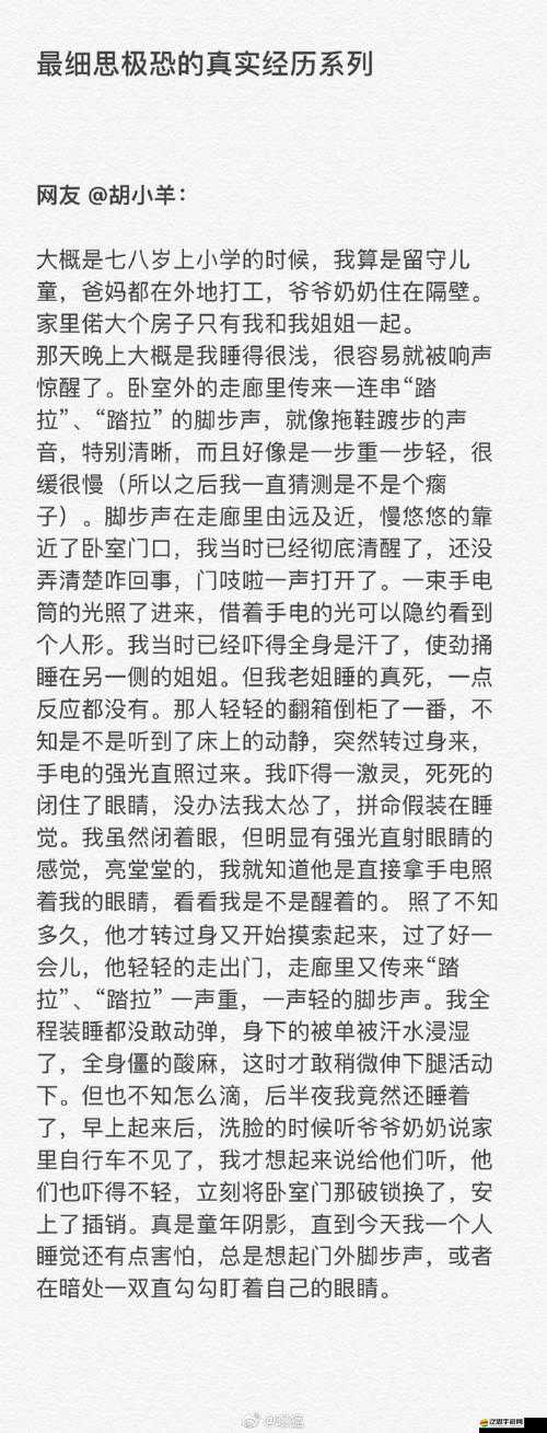 丁的夫人 1996 年意大利：一段值得銘記的特別經歷