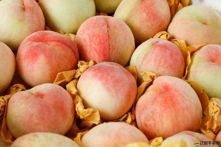 水蜜桃隱私密視頻免費：精彩內容不容錯過