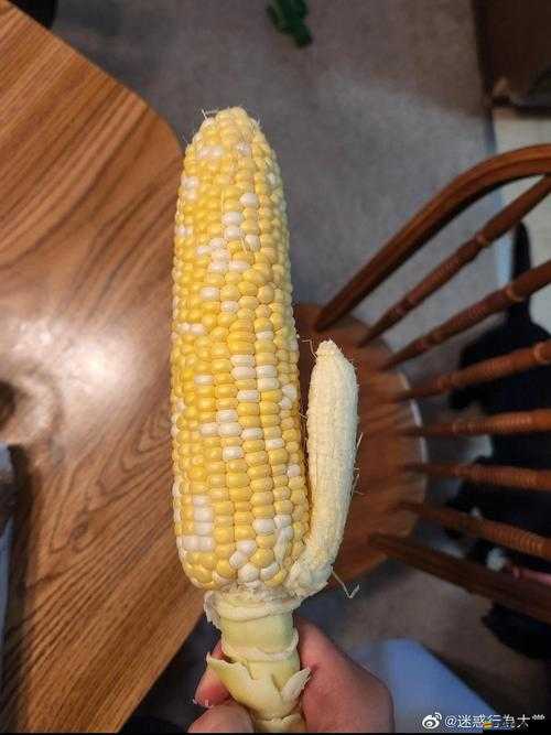 茄子絲瓜草莓榴蓮石榴：五種果蔬的獨特魅力與營養價值