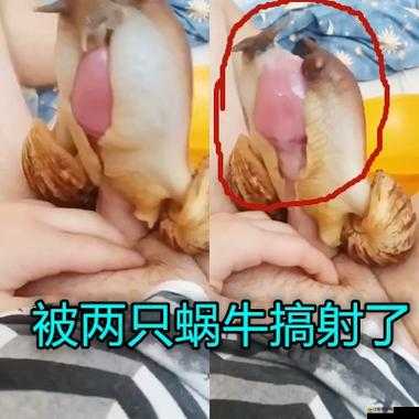 155FUN.黑料入口：探尋背后的隱秘世界