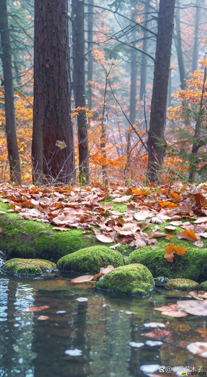 洞內泉淙淙洞外草萋萋——靜謐自然之境的獨特魅力
