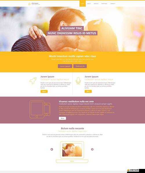 成品網站解軟件大全：提供全方位的網站解析服務