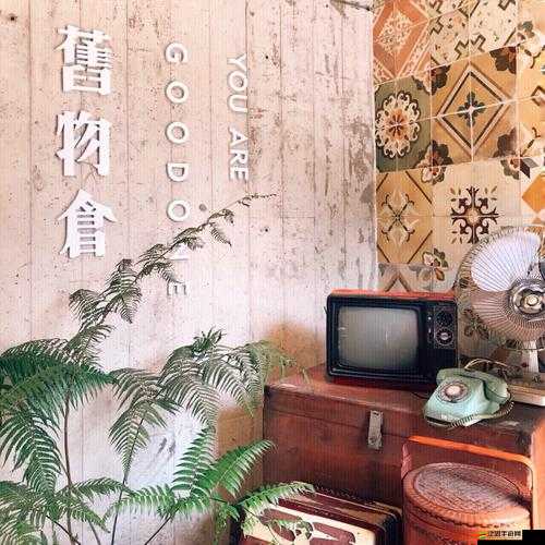 小花園想夾東西怎么辦？教你巧妙應對夾物難題