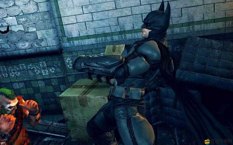 蝙蝠俠，阿甘起源之黑門游戲分辨率調整步驟與技巧全面解析