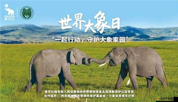 x7x7 任意噪入口直達大象：帶你進入奇妙的世界探索更多精彩