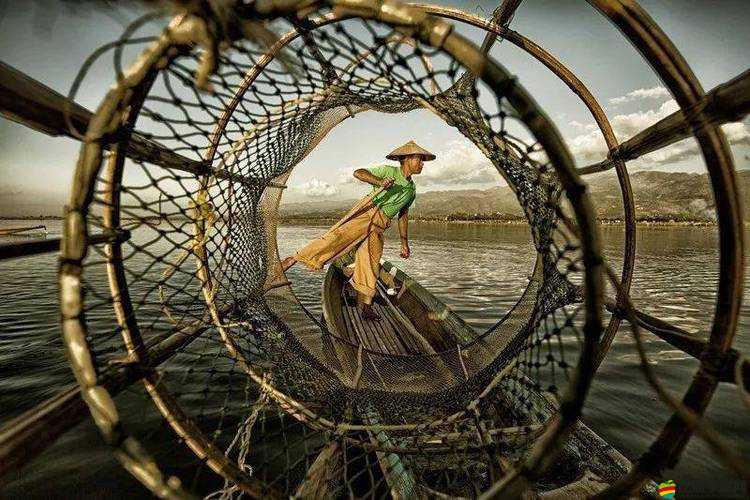 GOGO 全球專業攝影藝術：用鏡頭捕捉世界的精彩