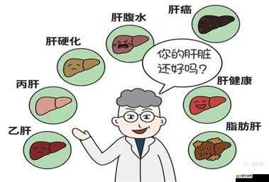 辦公室強肝是好事還是惡性：探究職場健康與工作效率的關系