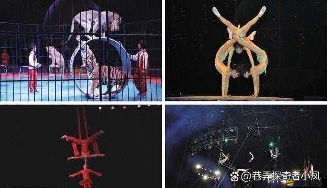 與約吧一起開啟精彩旅程