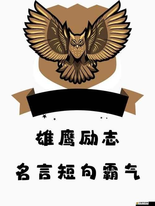 壯志凌云黃金版，全面解鎖翱翔天際的終極秘籍與指南大全