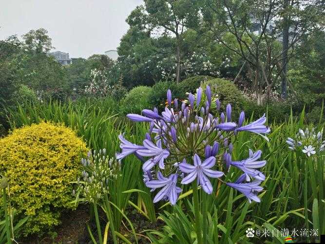 91 傳媒秘 入口：探索世界的秘密花園