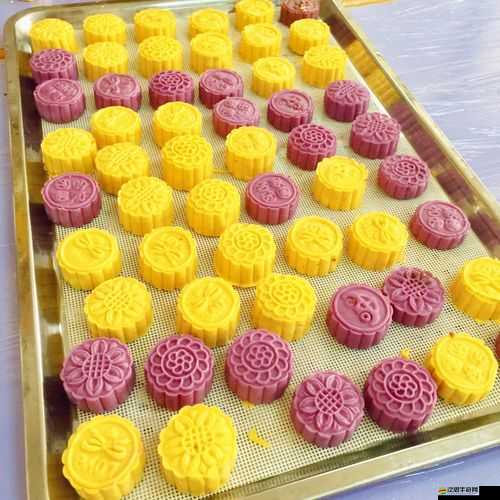 姐妹花合家歡 15 普通話：家庭團聚的溫暖時刻