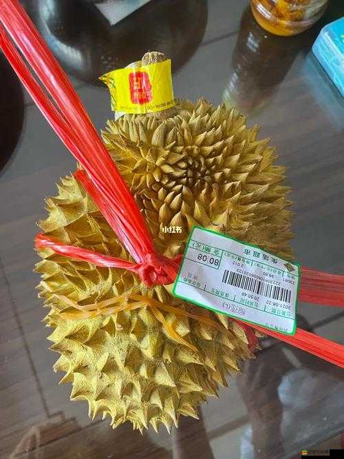 8008 幸福寶入口榴蓮分類專區：暢享精彩內容，滿足你的無限需求