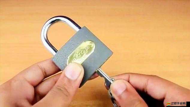 神偷4游戲攻略，掌握快速開鎖技巧，輕松突破難關秘籍