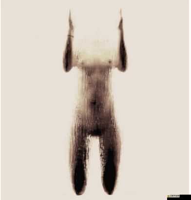 令人驚嘆的百分百美女尿孔清晰露出震撼呈現