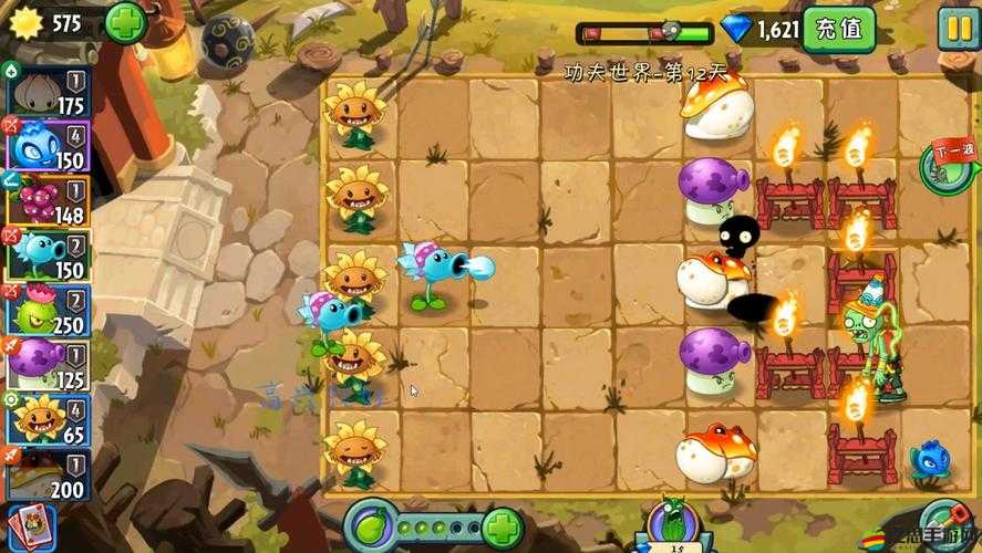 植物大戰僵尸2，揭秘功夫世界時空黑洞第二天高效通關策略