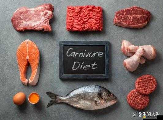 久宍視頻：關于其內容的深入探討與詳細分析